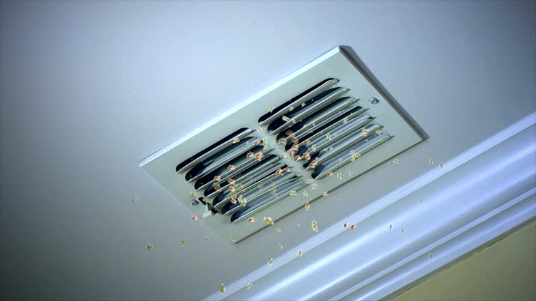 Best Air Duct Cleaning Near Me  in Hudson, IA
