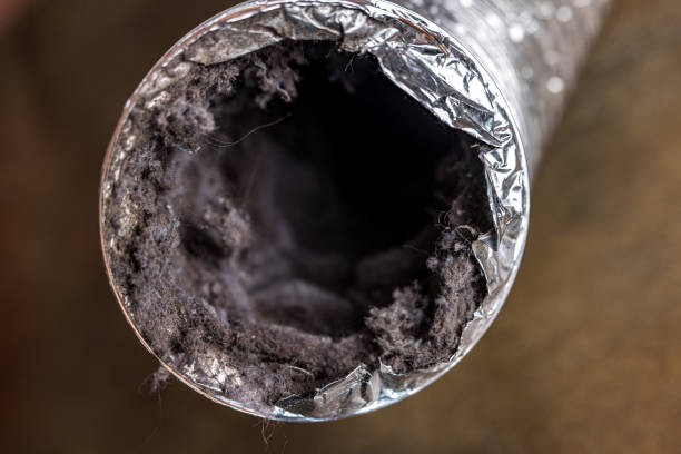 Best Affordable Duct Cleaning Services  in Hudson, IA