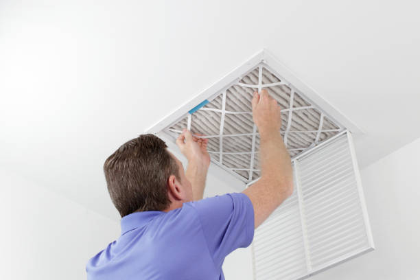 Best Home Air Vent Cleaning  in Hudson, IA